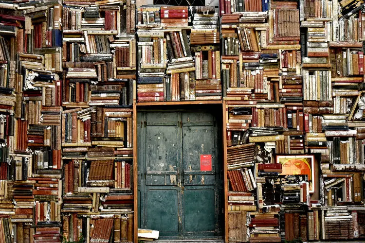 architecture-alternativo
