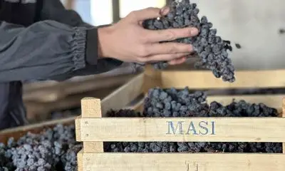 Masi-Agricola-bilancio-2022