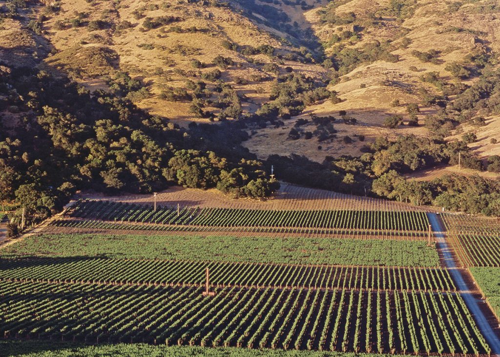 Stag’s Leap Wine Cellars