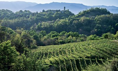 Recantina-Asolo-Prosecco