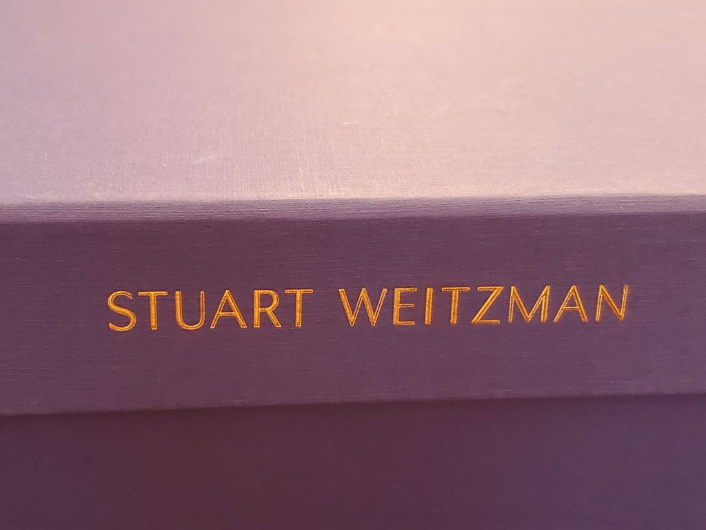occhiali Stuart Weitzman