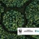 Wwf-Vaillant