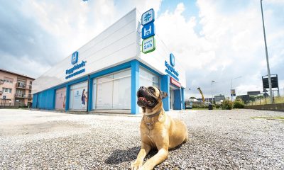 Arcaplanet-Happy-Friends-Ospedali-Veterinari