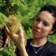 donne-e-vino-Monica-Lisetto-Bottega-Vendemmia